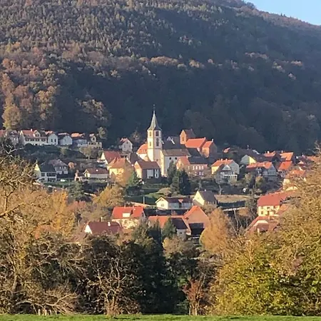 L'instant Durable Σπίτι διακοπών Oberbronn