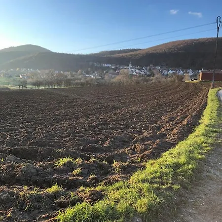 L'instant Durable Oberbronn