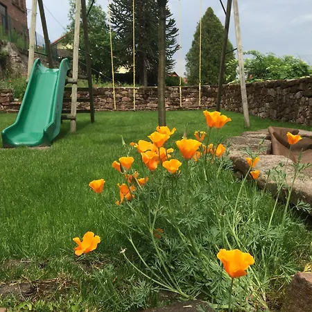 L'instant Durable Σπίτι διακοπών Oberbronn