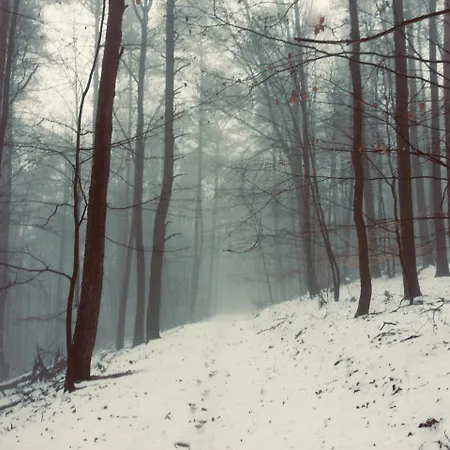 L'instant Durable Σπίτι διακοπών