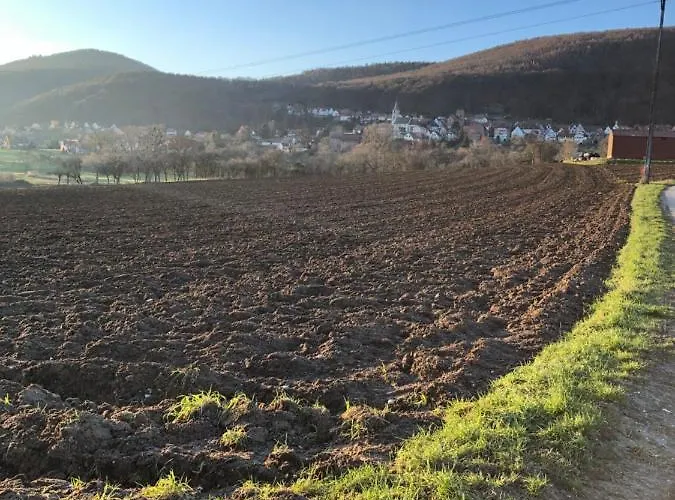 L'instant Durable Oberbronn