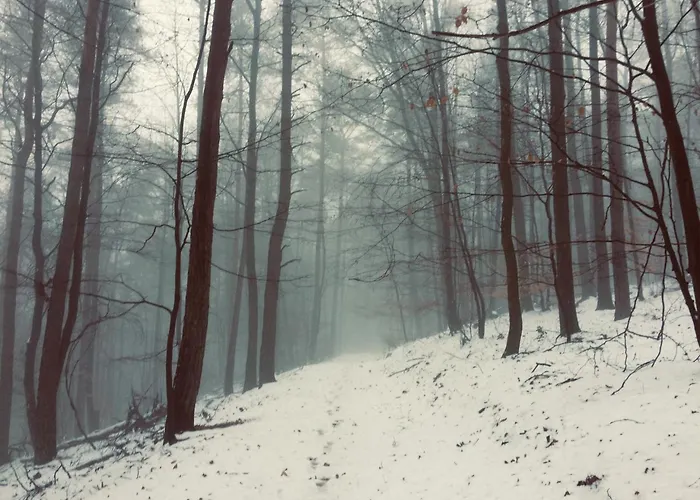 L'instant Durable Holiday home